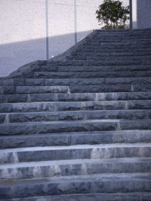 P1000051_サイズ変更.jpg