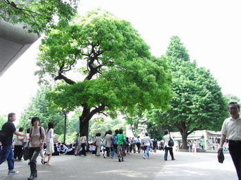 R0010692_サイズ変更.JPG