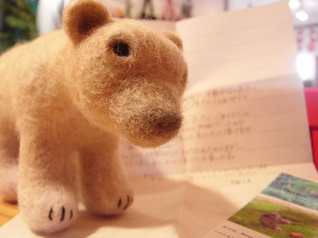 R0014619_サイズ変更.JPG