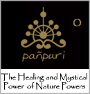 Spa_panpuri.gif